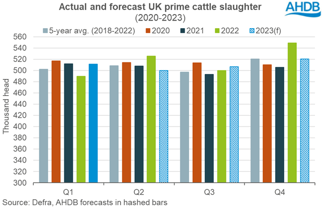 Graph showing quarterly actual and forecast UK prime cattle slaughter levels